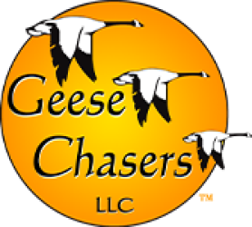 UTF-8geese chasers logo